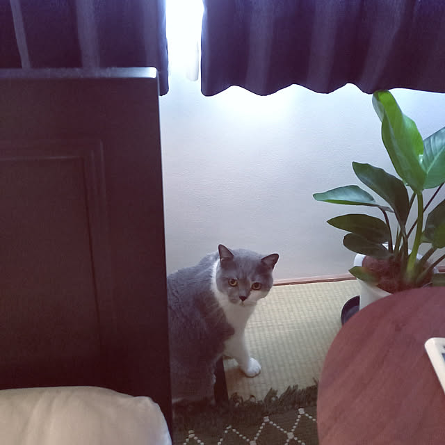 rhuさんの実例写真