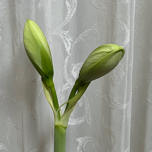 nannoさんの実例写真