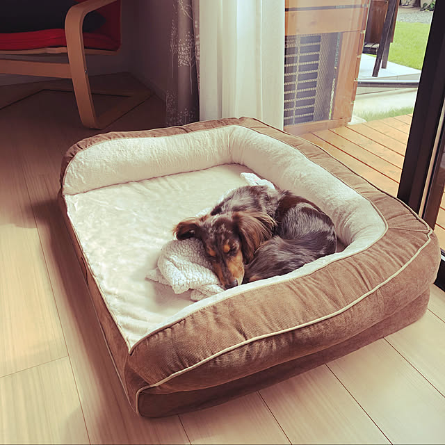 cocoaさんの実例写真