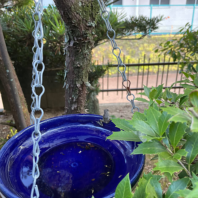 shin0719さんの実例写真