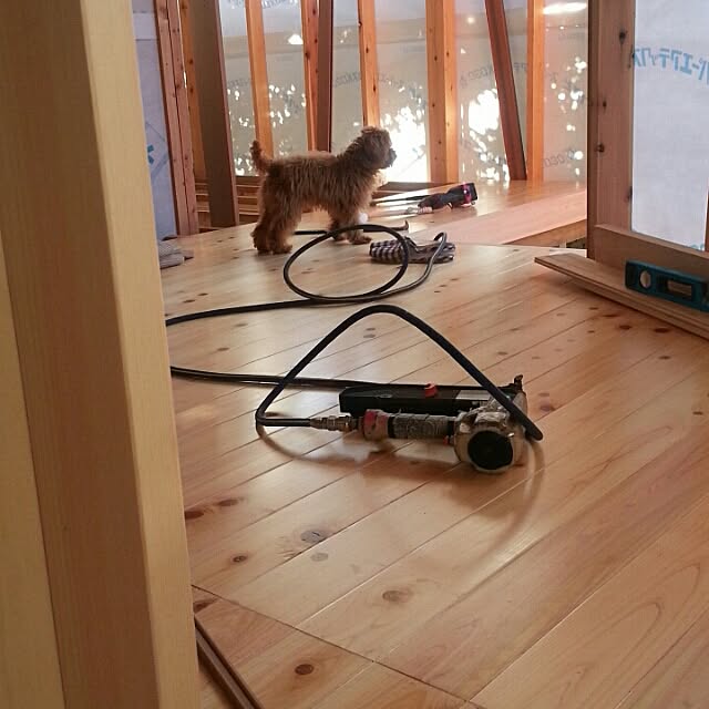 実例写真
