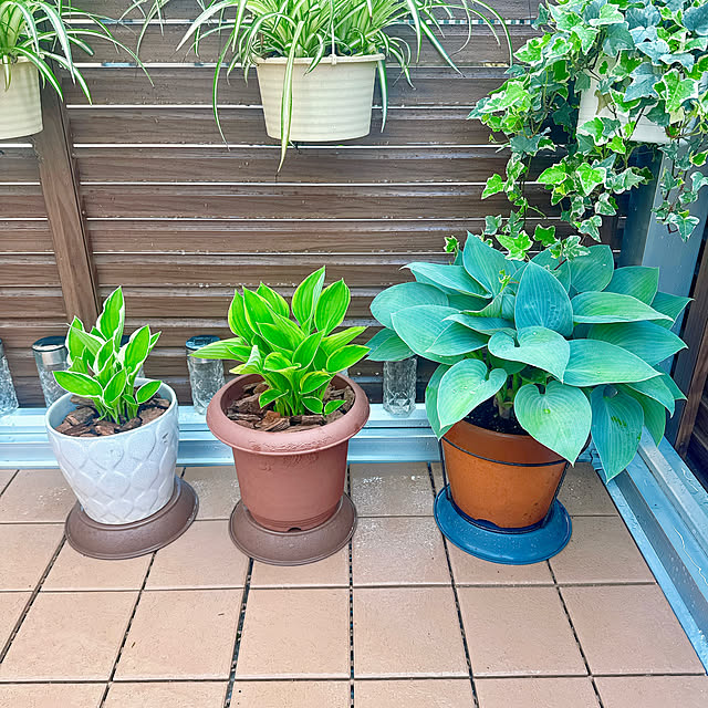 miyuさんの実例写真