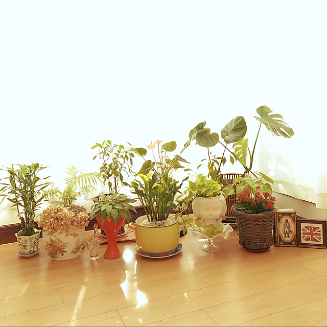 fuyiqian1026さんの実例写真