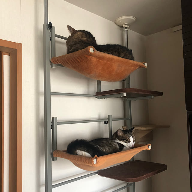 conoca107さんの実例写真