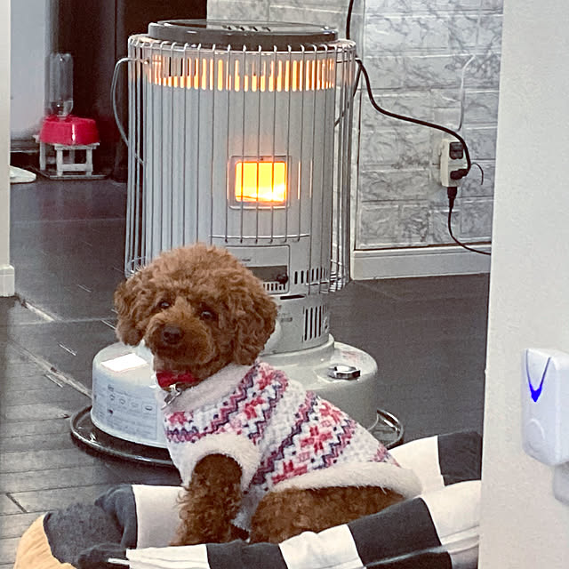 MOMOMAMAさんの実例写真
