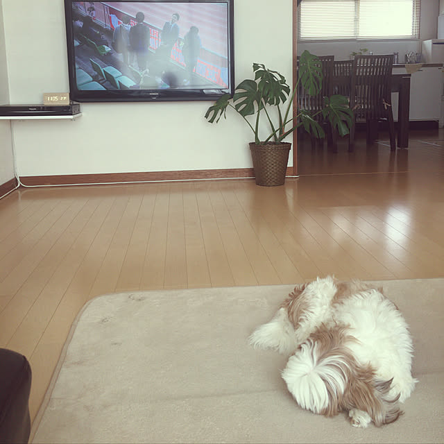 my_homeさんの実例写真
