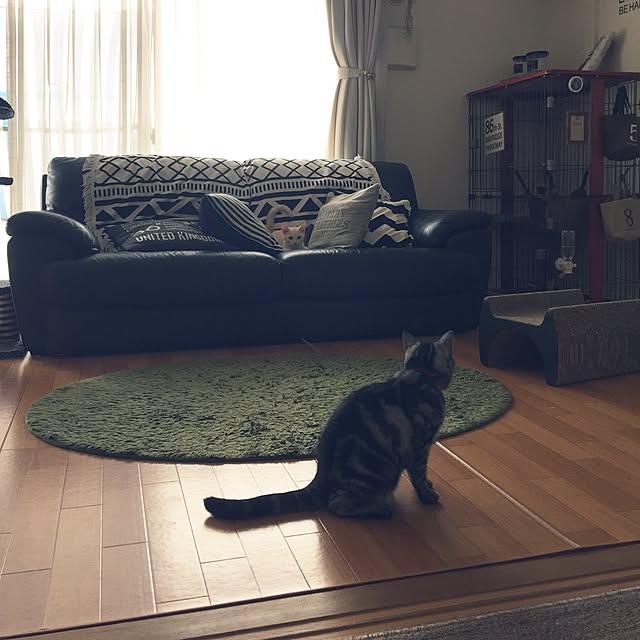hiyupan88さんの実例写真