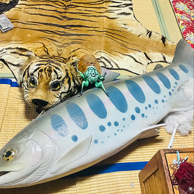takakuzenさんの実例写真