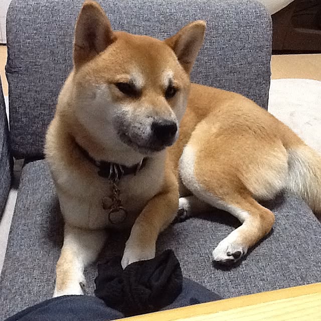 kotaさんの実例写真