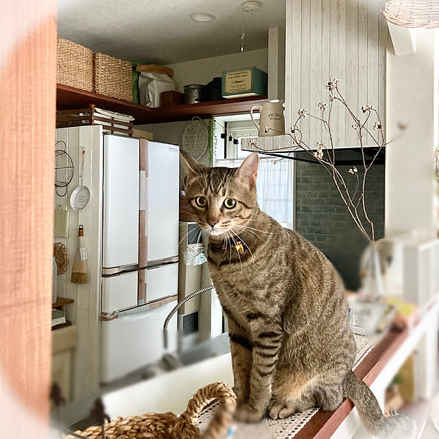 kakamiさんの実例写真