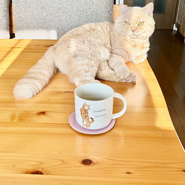 naokoさんの実例写真