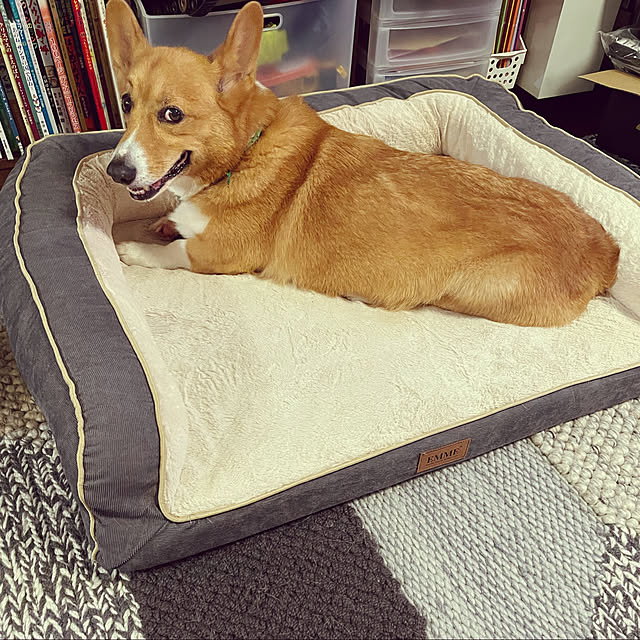 Macさんの実例写真