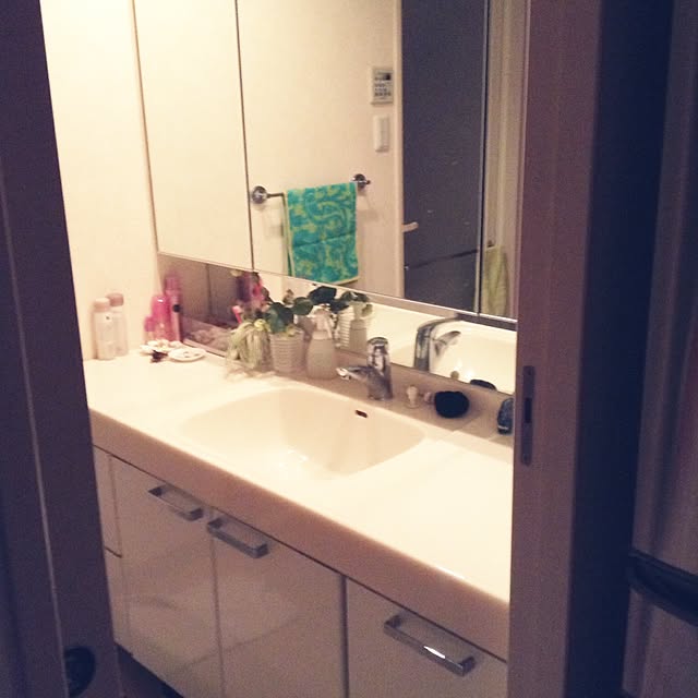 greenpancerさんの実例写真
