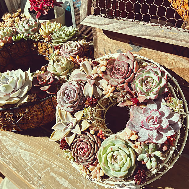 buchikoさんの実例写真