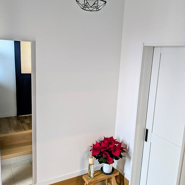pannaさんの部屋