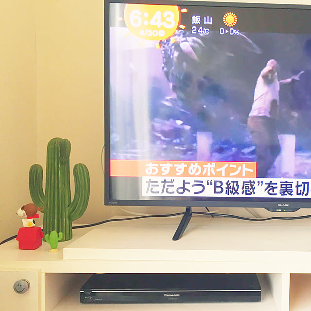 雑貨/100均/リビングのインテリア実例 - 2020-04-30 06:59:20