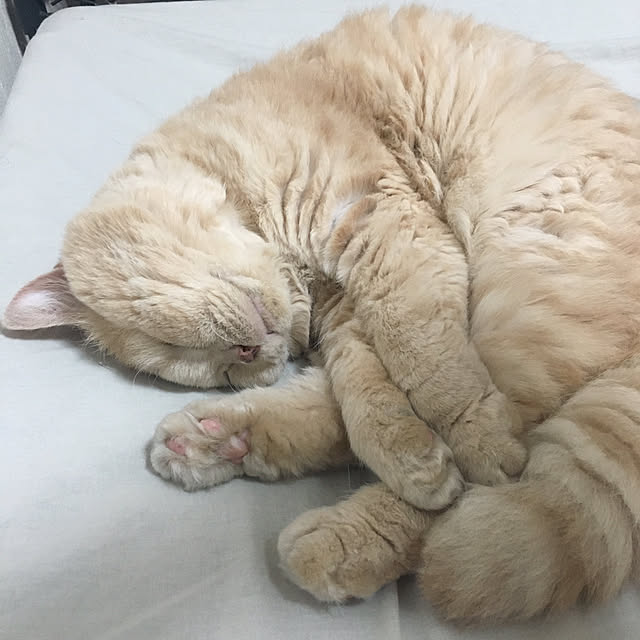 naokoさんの部屋