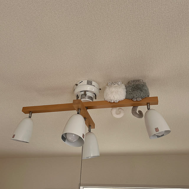 neesan-ishiharaさんの実例写真