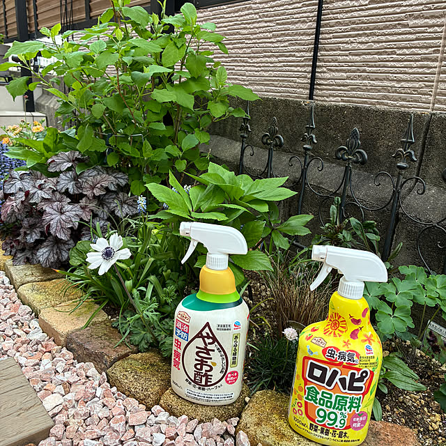 komeさんの実例写真