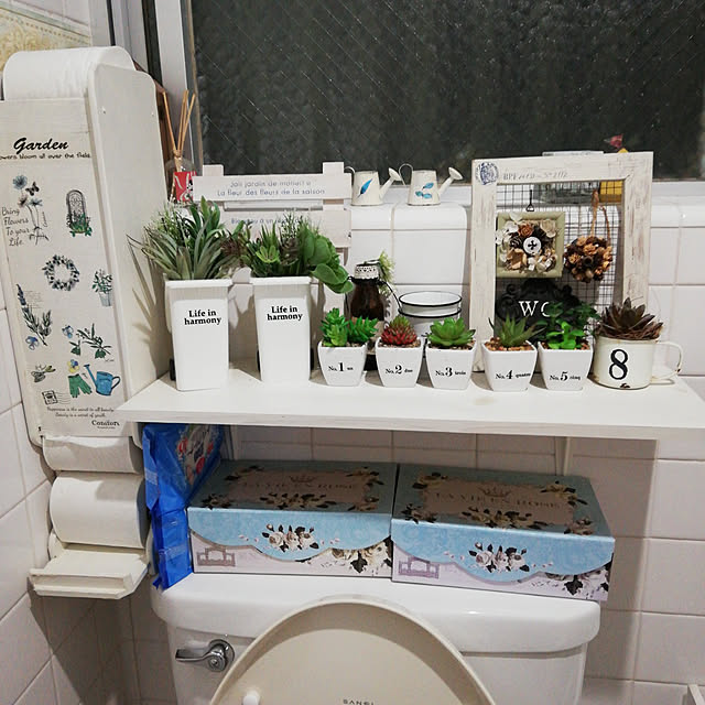 バス/トイレ/トイレのインテリア/100均/多肉/多肉植物...などのインテリア実例 - 2020-12-08 19:08:31