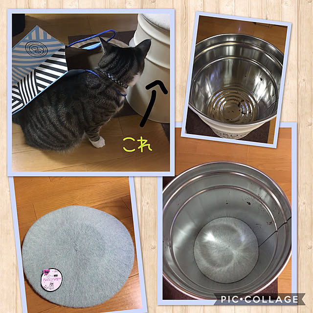 kimikimiさんの実例写真