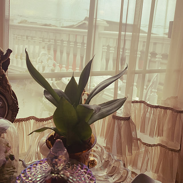 AYUKOさんの実例写真