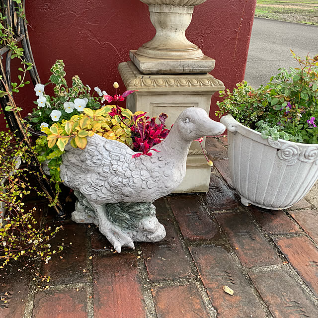 AYUKOさんの実例写真