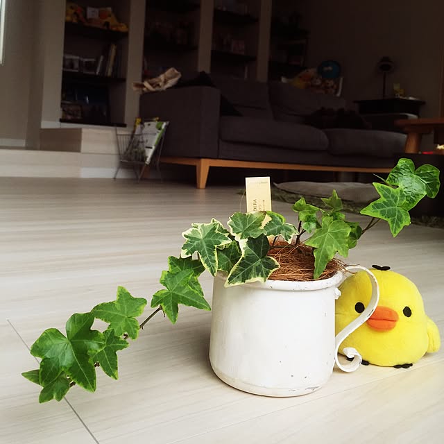 pinaさんの実例写真