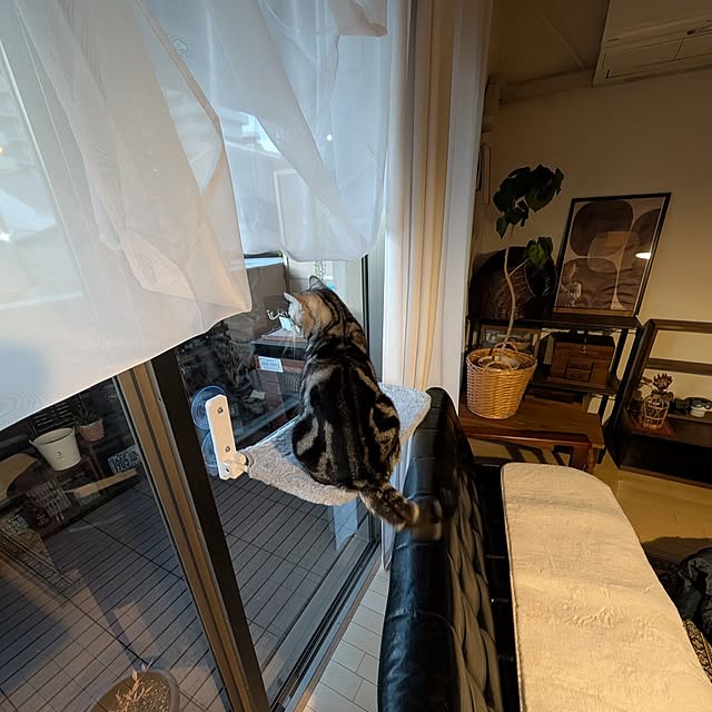 lovepeaceさんの実例写真