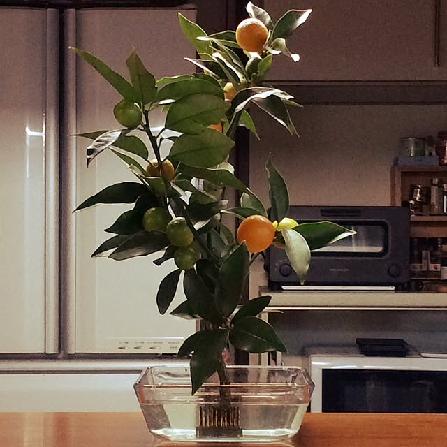 実例写真