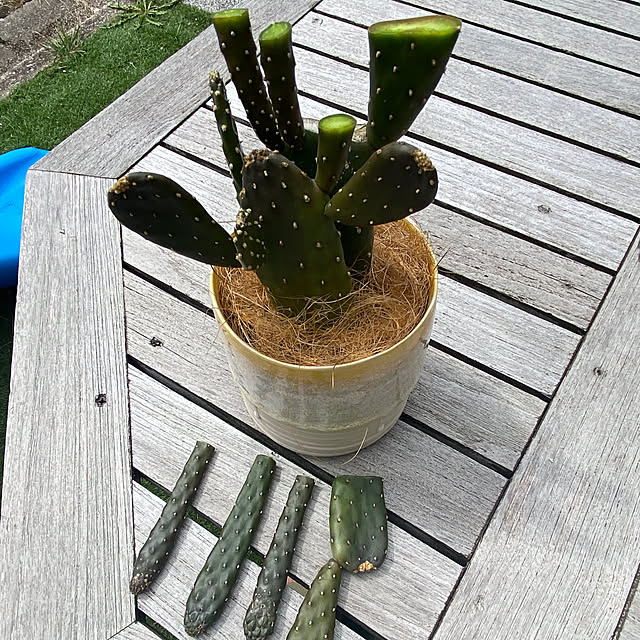 reahさんの部屋
