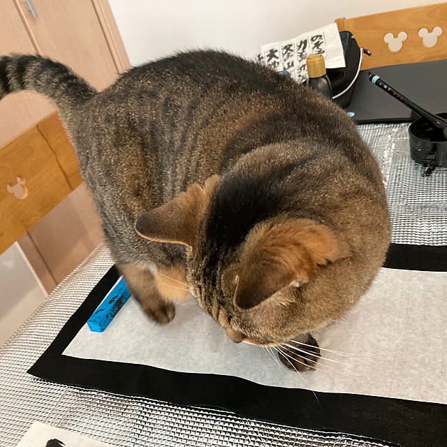 kirinsanさんの部屋