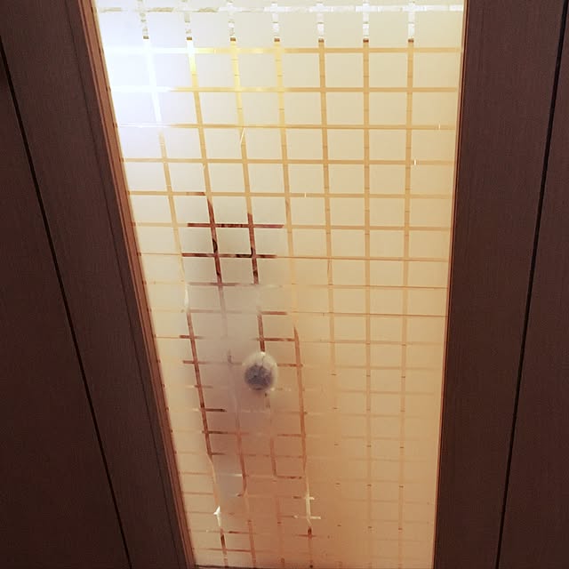 baronkotarouさんの実例写真