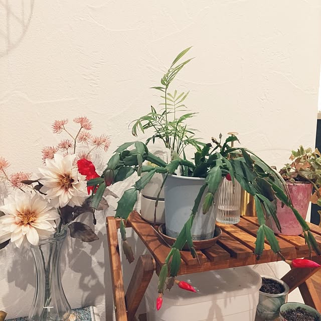 Maroさんの部屋