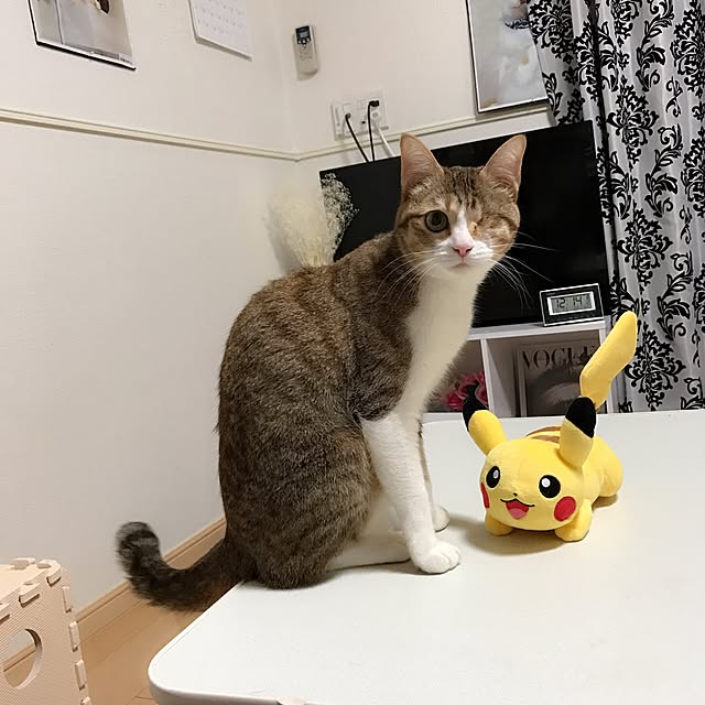 chiroさんの実例写真