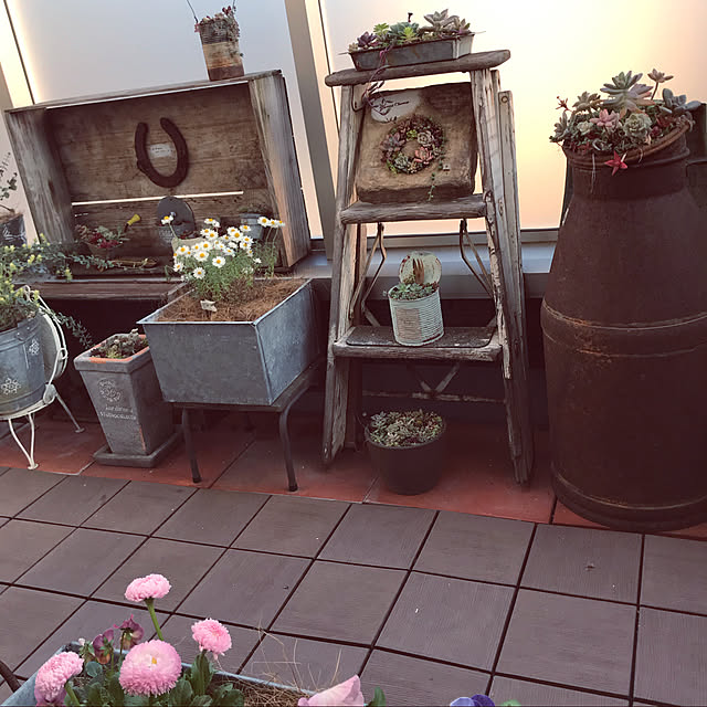ikukoさんの実例写真