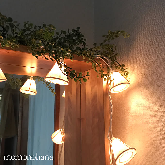 momonohanaさんの実例写真