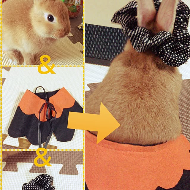 witch1783さんの実例写真