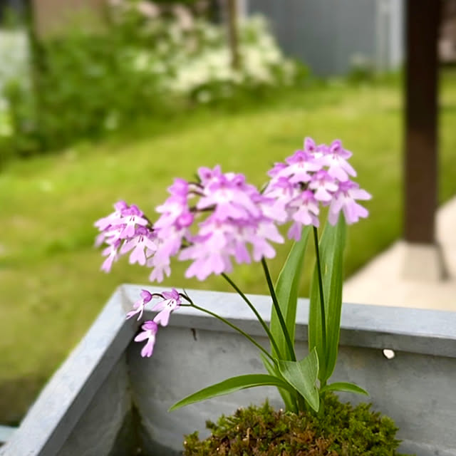 tsukiyuzuさんの部屋