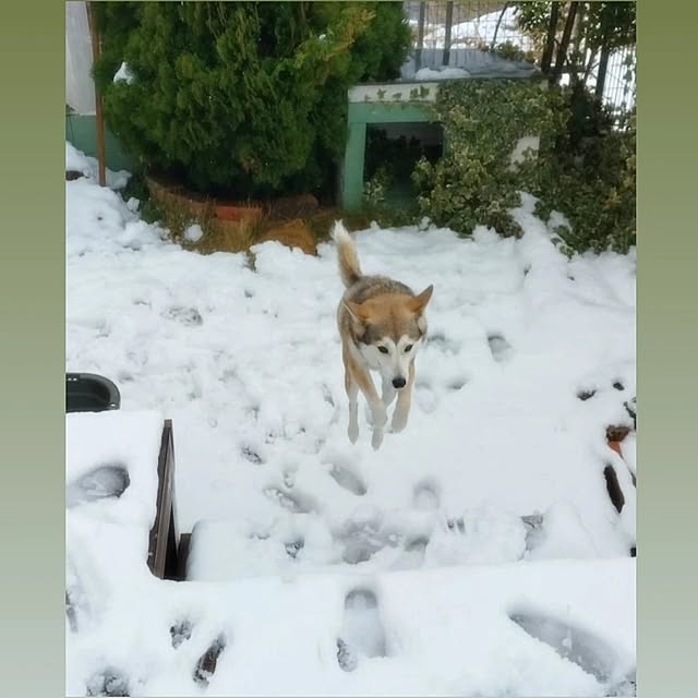 nikoさんの部屋