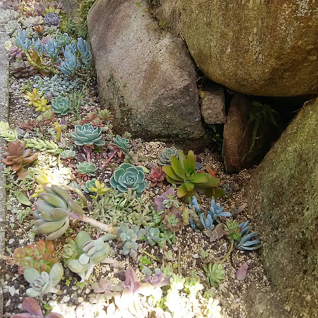 実例写真