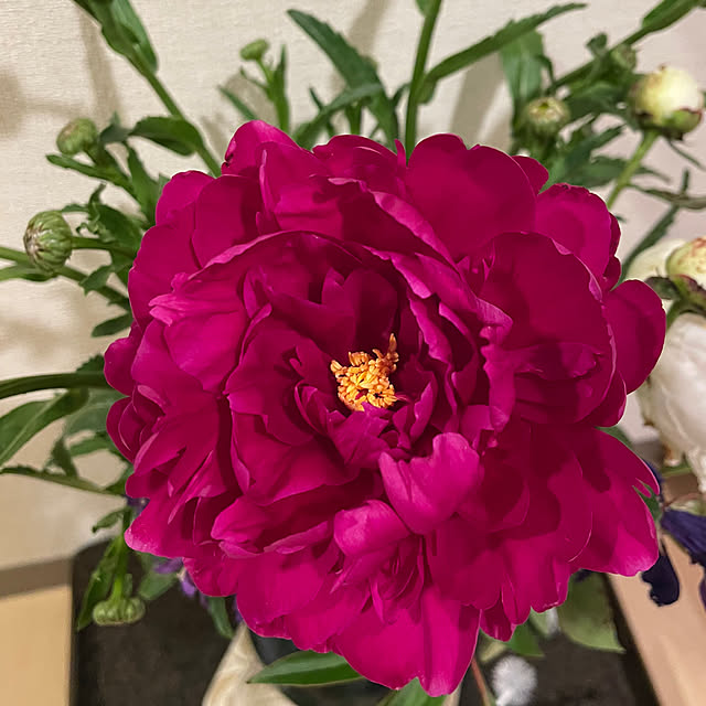 maminさんの部屋