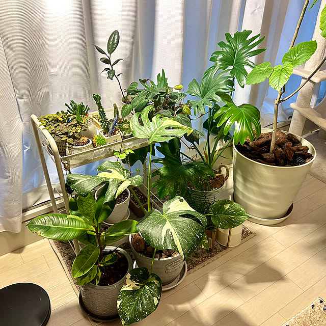 karuraaさんの部屋