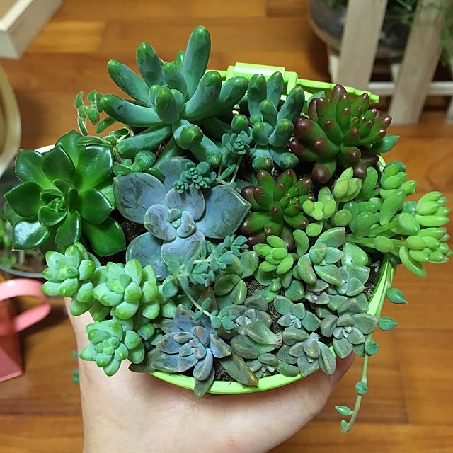 CHIROさんの実例写真