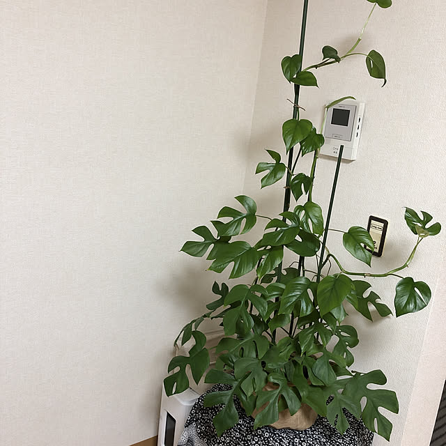 akihimeさんの実例写真