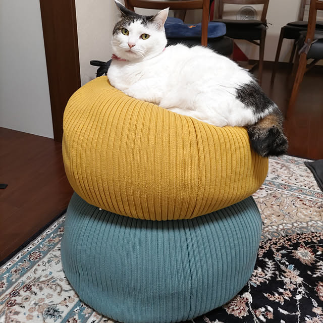 yuuさんの実例写真