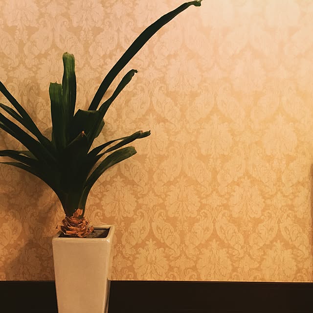 kimiiroさんの実例写真
