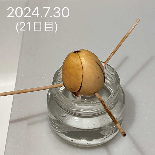 reika111さんの部屋