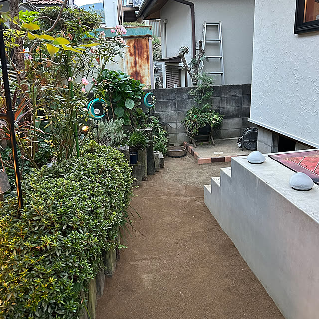 anne_sharlyさんの部屋