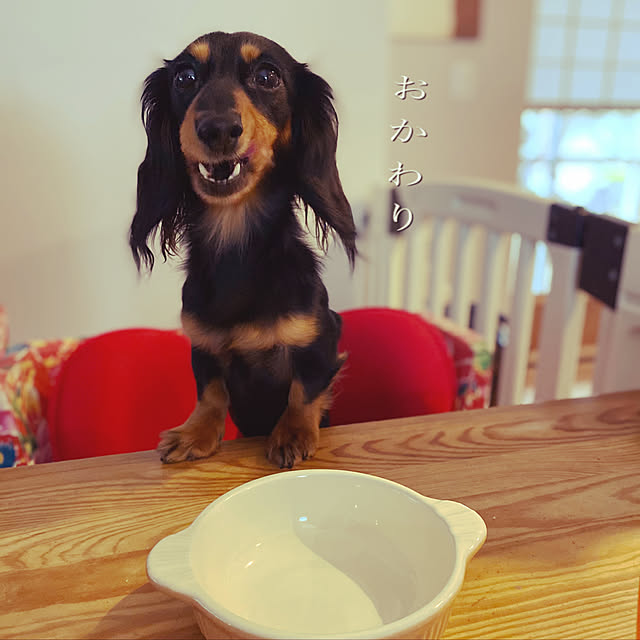 uninekoさんの実例写真